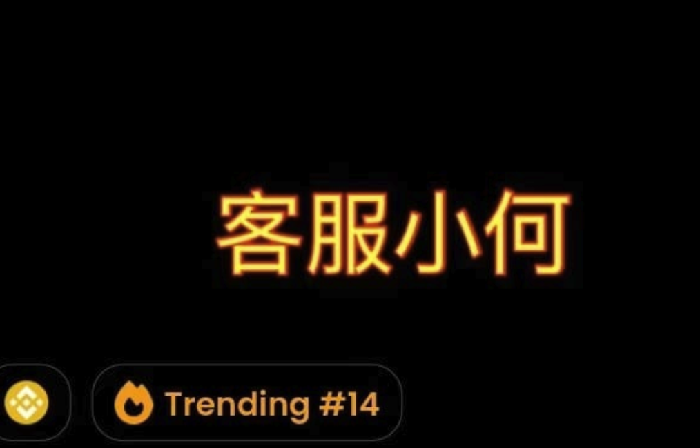 &ldquo;客服小何&rdquo;是什么迷因币-币某安高管如何引爆短期暴涨