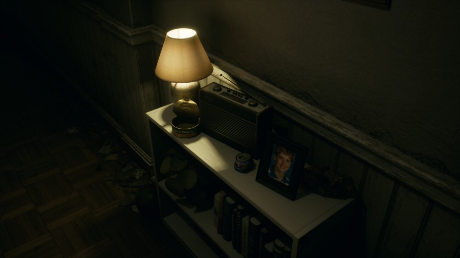 窥维者官方中文版