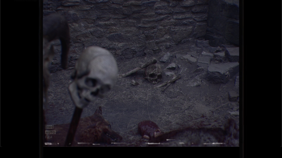 妖术3:超自然现象绿色中文版