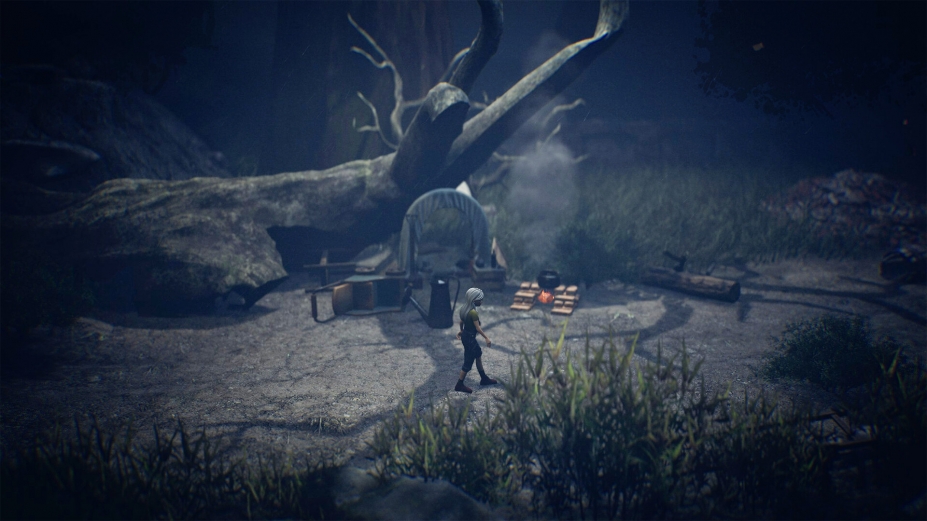 寂静之国的波斯菊免安装中文正式版