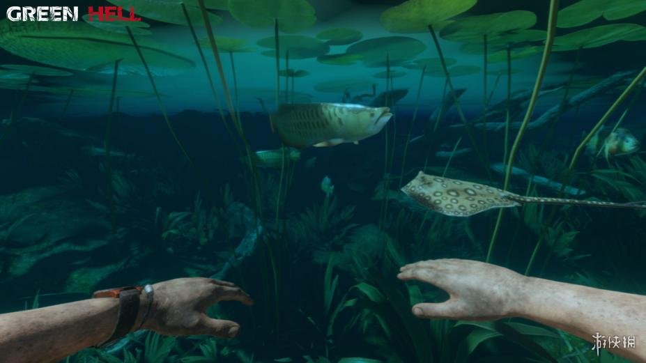 丛林地狱免安装绿色中文版