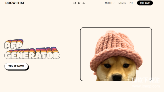 Dogwifhat属于公链吗-Dogwifhat依托哪种区块链网络发行运行