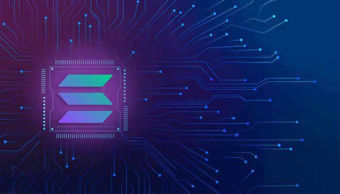 SOL币哪里买？2026年十大SOL币交易所排行