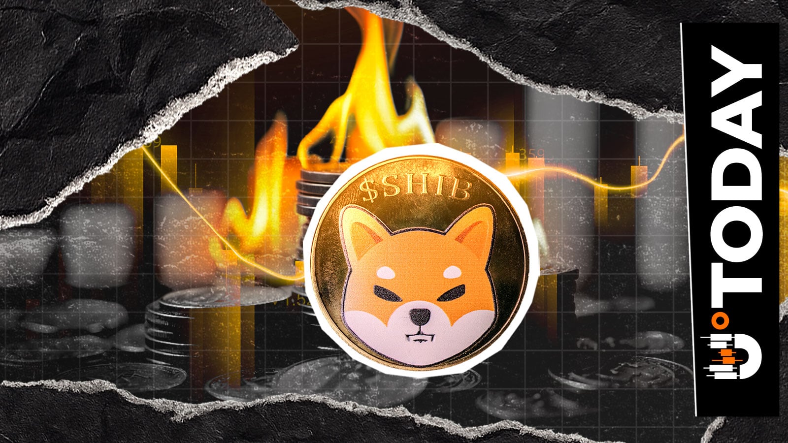 近2亿SHIB在535%的暴涨中化为灰烬