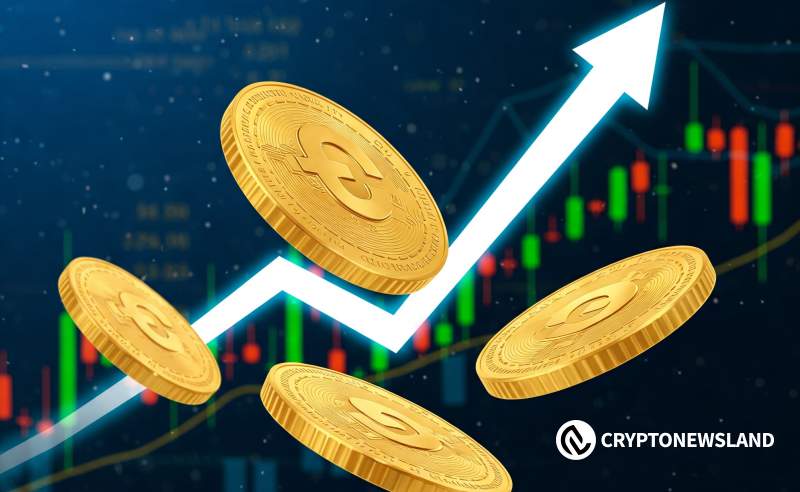 资金正在轮动:投资者当前关注的主流币种